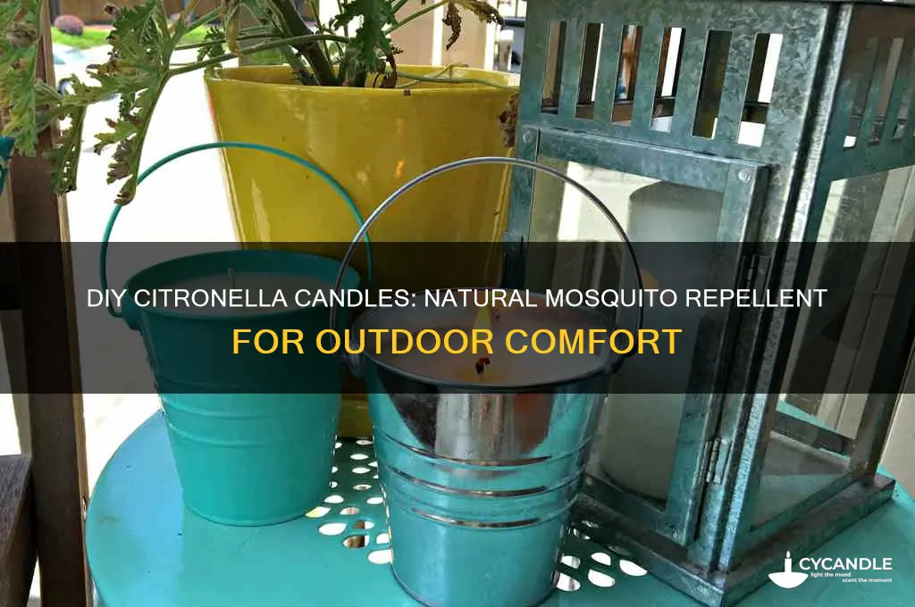 how to make citronella candles to banish mosquitoes