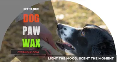 DIY Dog Paw Wax: Protect Your Pup’s Paws Easily at Home