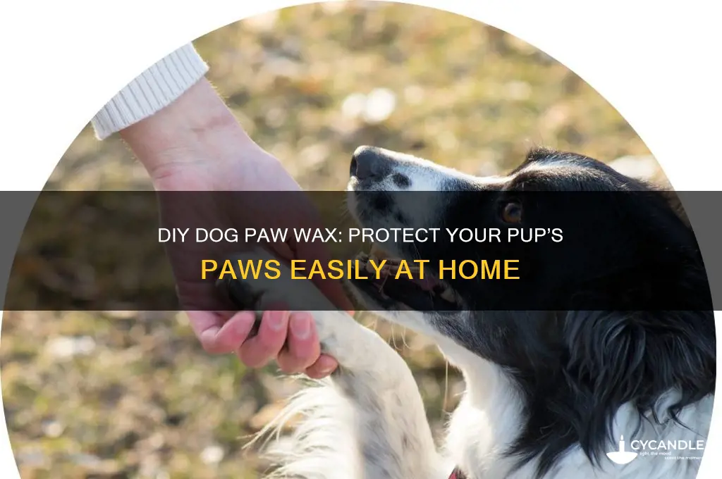 how to make dog paw wax