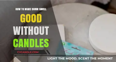 Fresh Dorm Scents: Safe, Candle-Free Ways to Keep Your Space Smelling Great
