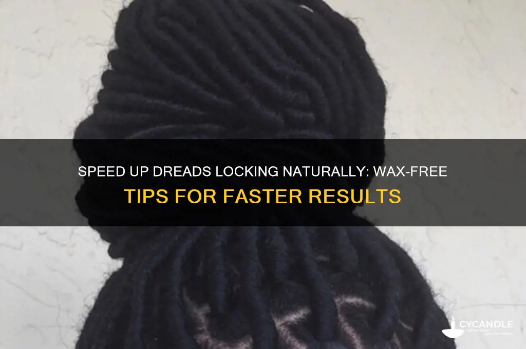 how to make dreads lock faster without wax