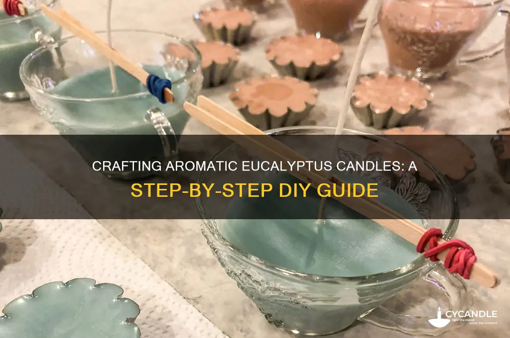 how to make eucalyptus candle