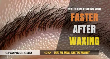 Boost Your Brow Growth: Tips for Faster Recovery Post-Waxing