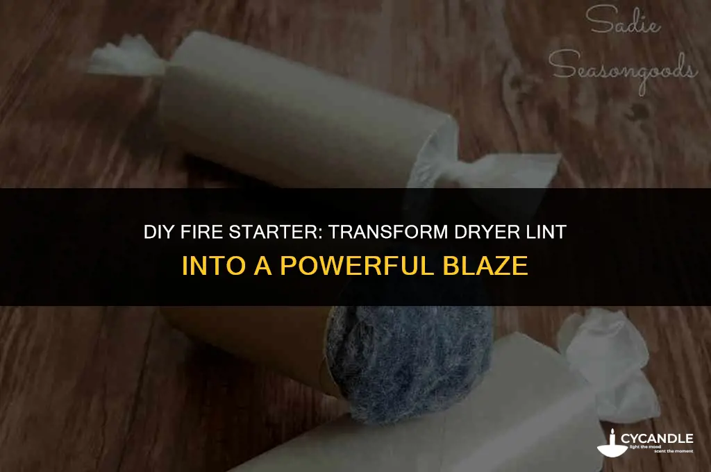 how to make fire starter with dryer lint no wax