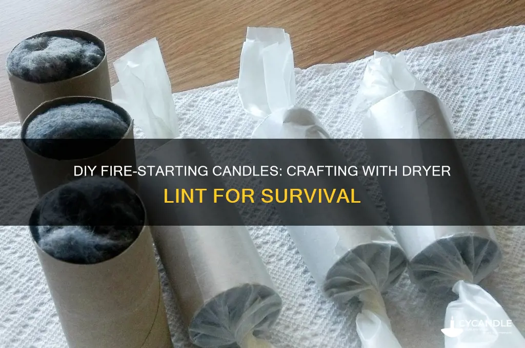 how to make fire starting candles with dryer lint