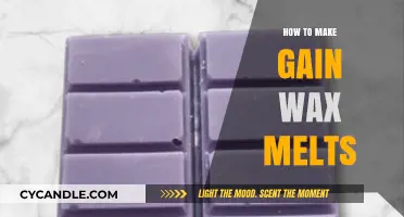 Crafting Scented Perfection: A Guide to Making Gain Wax Melts