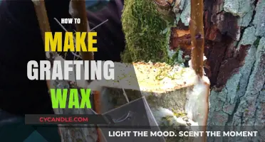 Crafting Grafting Wax: A Step-by-Step Guide for Gardeners