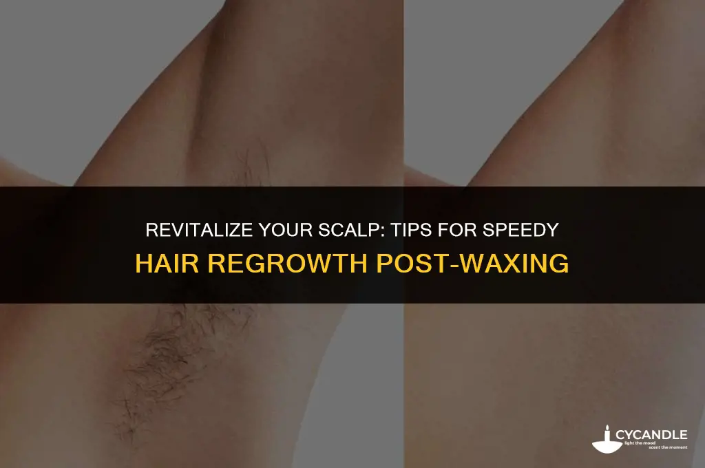 how to make hair grow back faster after wax