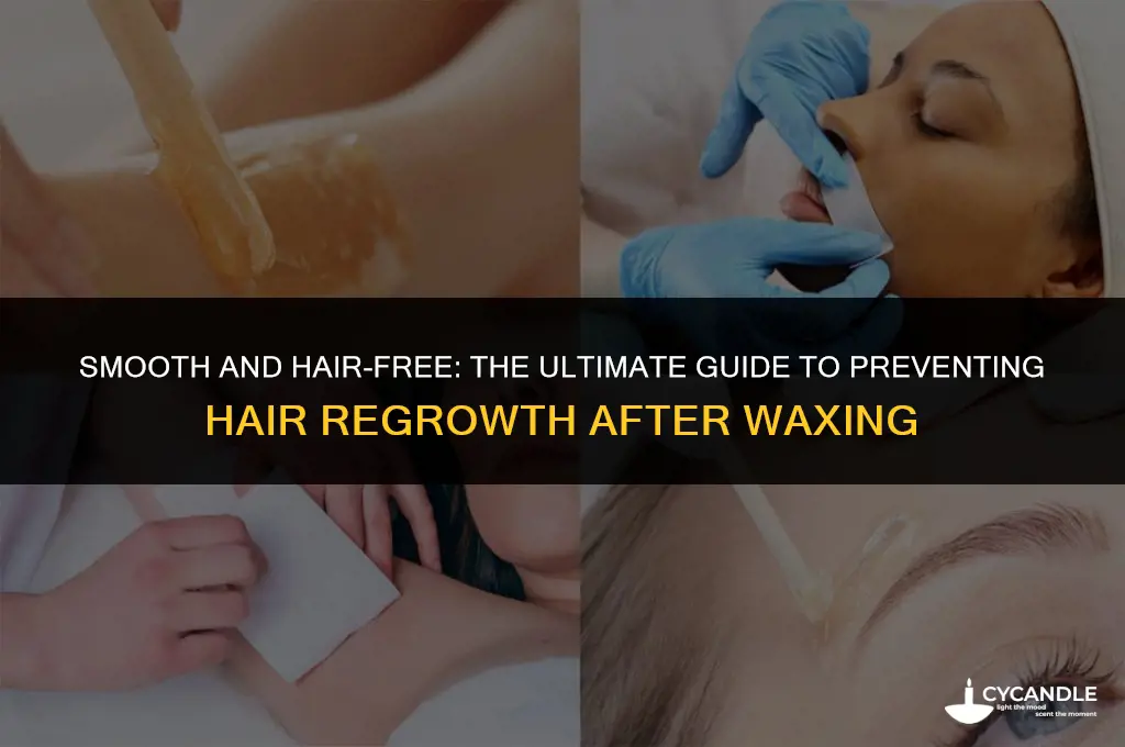 how to make hair not grow back after waxing
