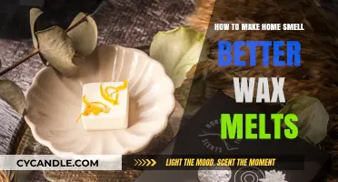 Elevate Your Home's Ambiance: The Art of Wax Melts for a Better-Smelling Space