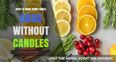Freshen Your Home Naturally: Scent Solutions Beyond Candles