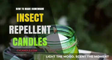 Craft Natural Bug-Free Evenings: DIY Insect Repellent Candle Guide
