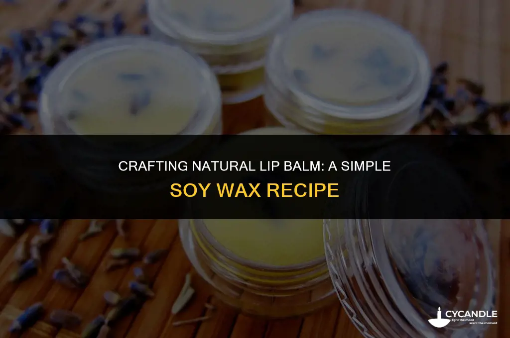 how to make homemade lip balm with soy wax