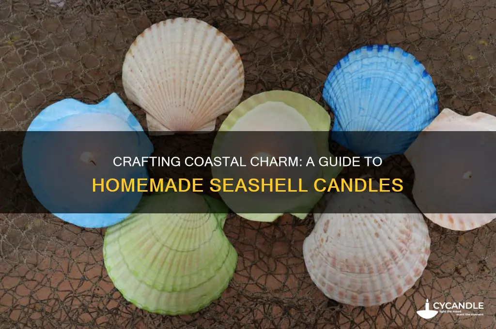 how to make homemade seashell candles