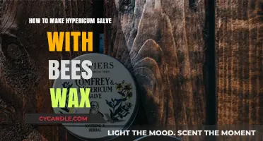 Crafting Hypericum Salve with Beeswax: A Natural Healing Guide