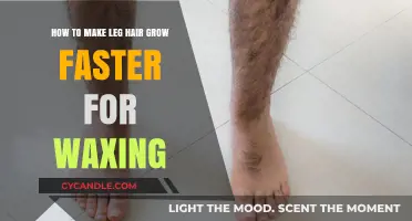 Boost Your Leg Hair Growth: Tips for a Better Waxing Experience