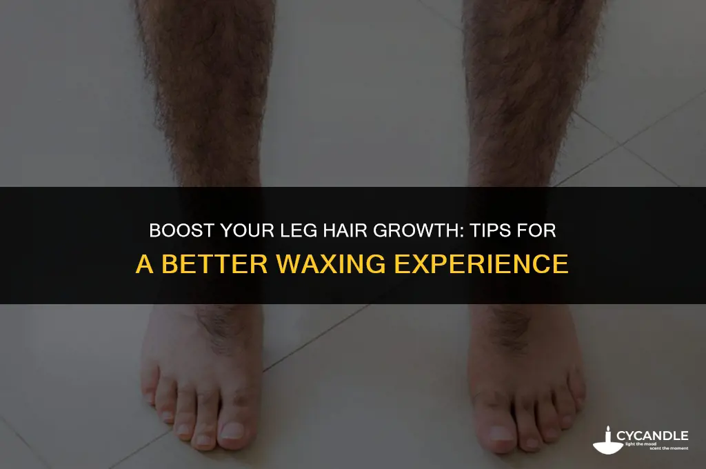 how to make leg hair grow faster for waxing
