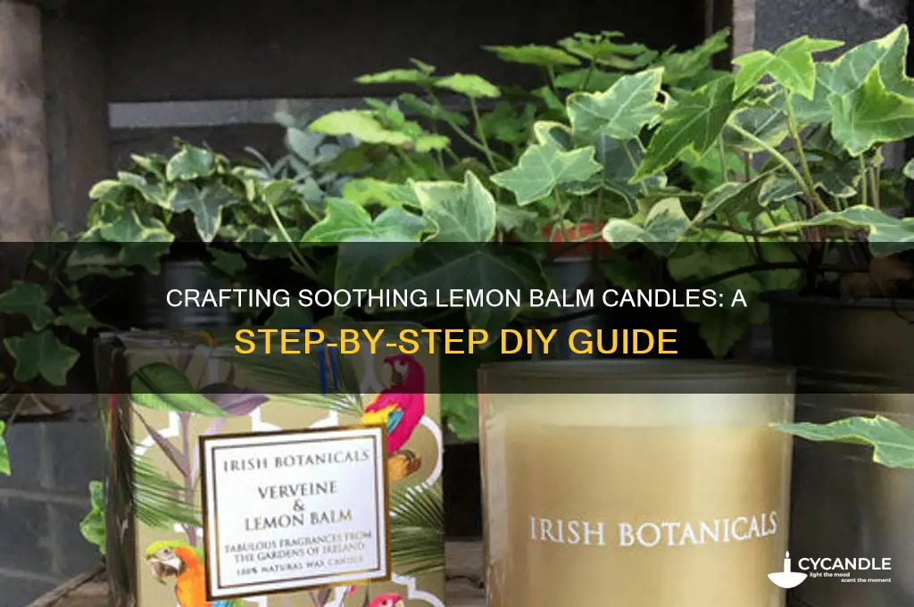 how to make lemon balm candles