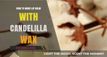Crafting Nourishing Lip Balm with Candelilla Wax: A Simple Guide