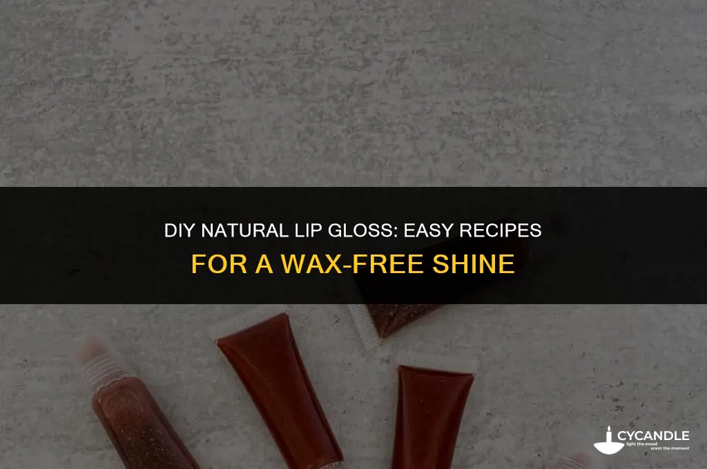 how to make lip gloss at home without wax