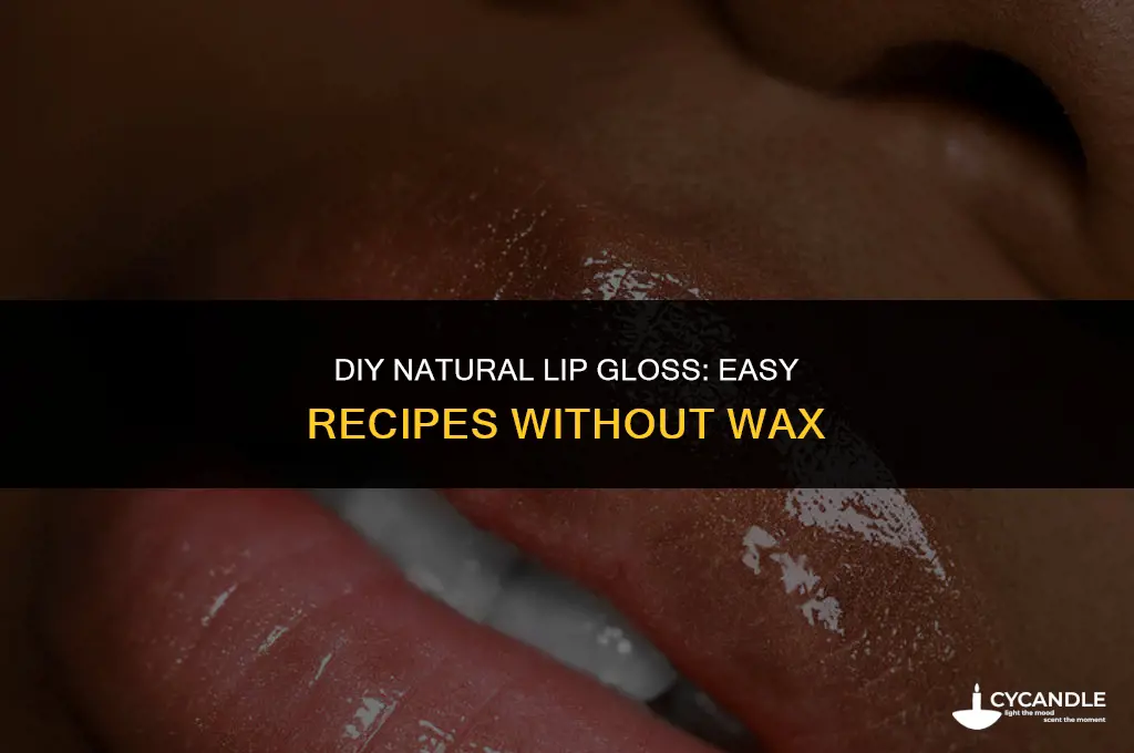 how to make lip gloss no wax