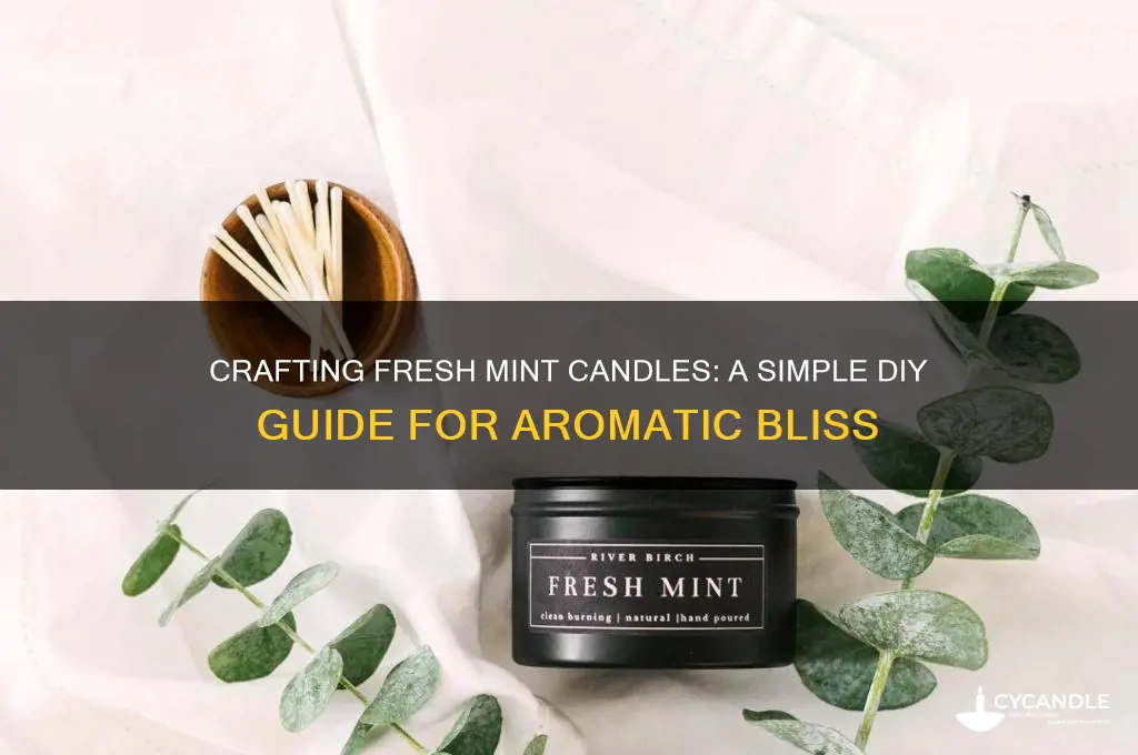 how to make mint candle from fresh mint
