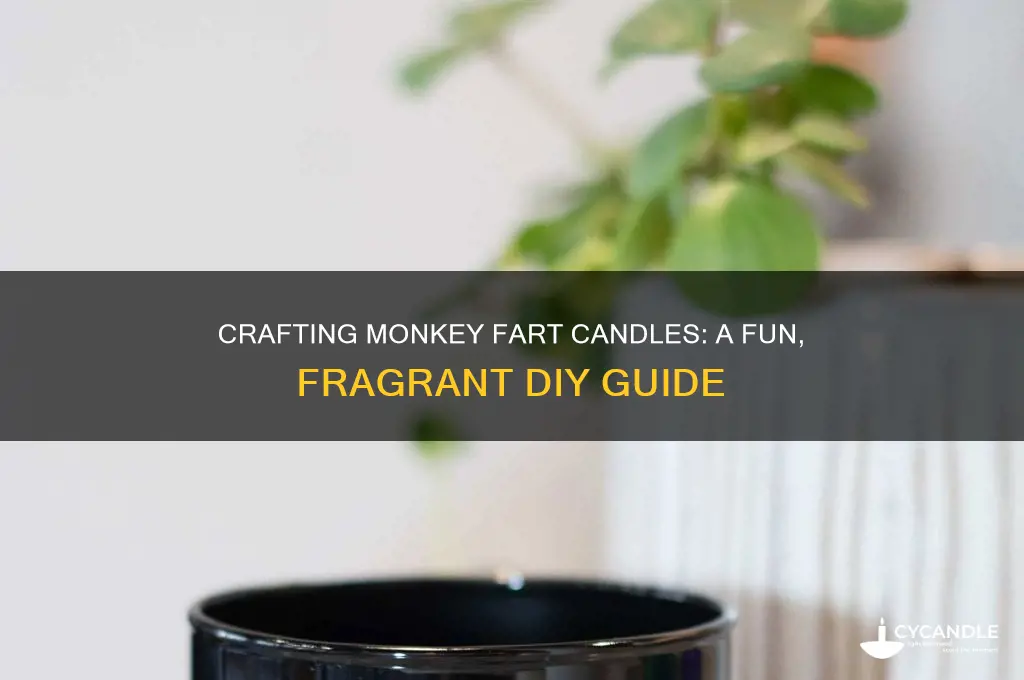 how to make monkey fart candles