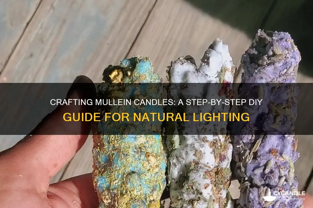 how to make mullein candles