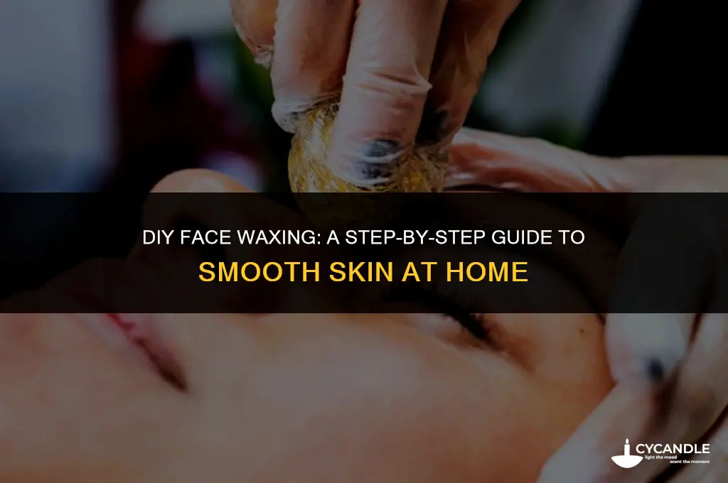 how to make my own face wax