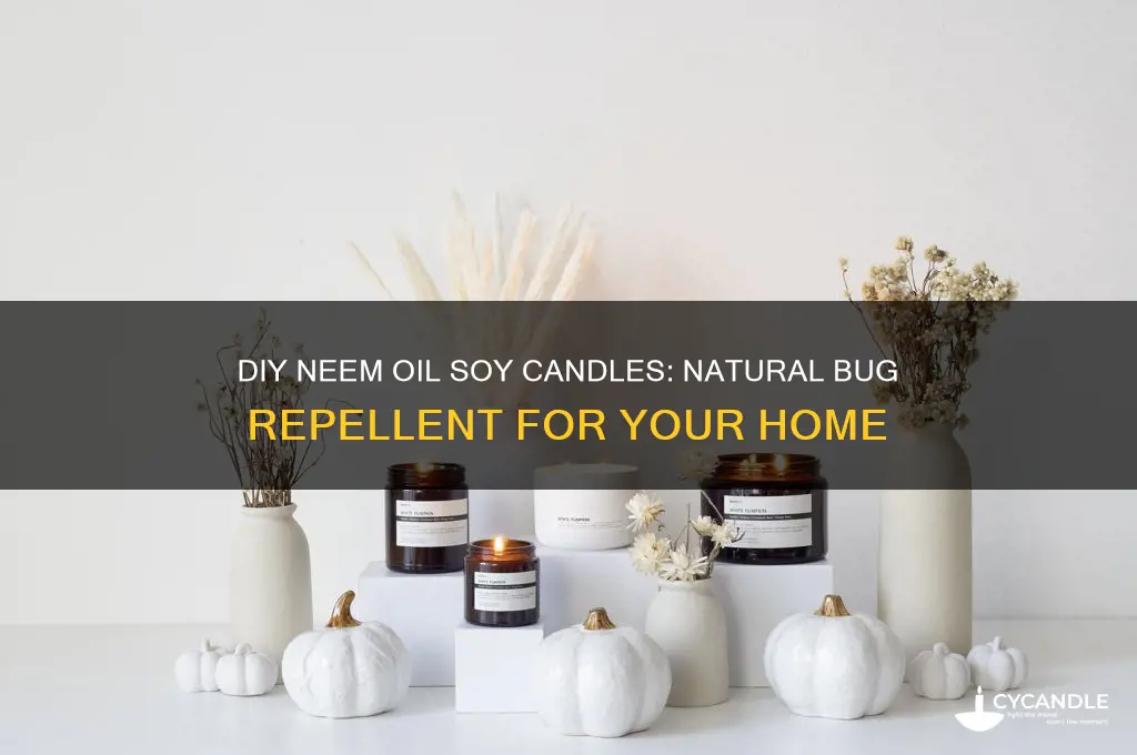 how to make neem oil bug repellent soy candles
