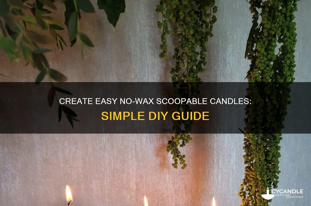 how to make no wax scoopable candle