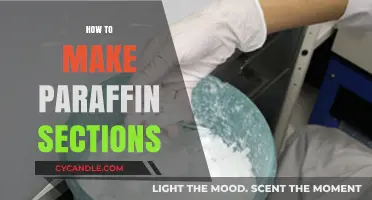 Mastering Paraffin Section Preparation: A Step-by-Step Guide for Histology