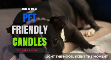 Crafting Safe, Pet-Friendly Candles: A Step-by-Step Guide