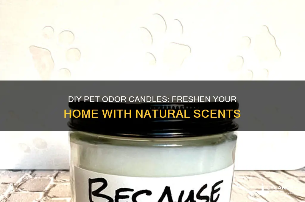 how to make pet odor candles