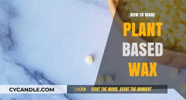 Crafting Sustainable Plant-Based Wax: A Beginner's Guide