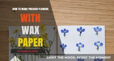 Preserving Nature's Beauty: A Simple Guide to Pressed Flowers with Wax Paper