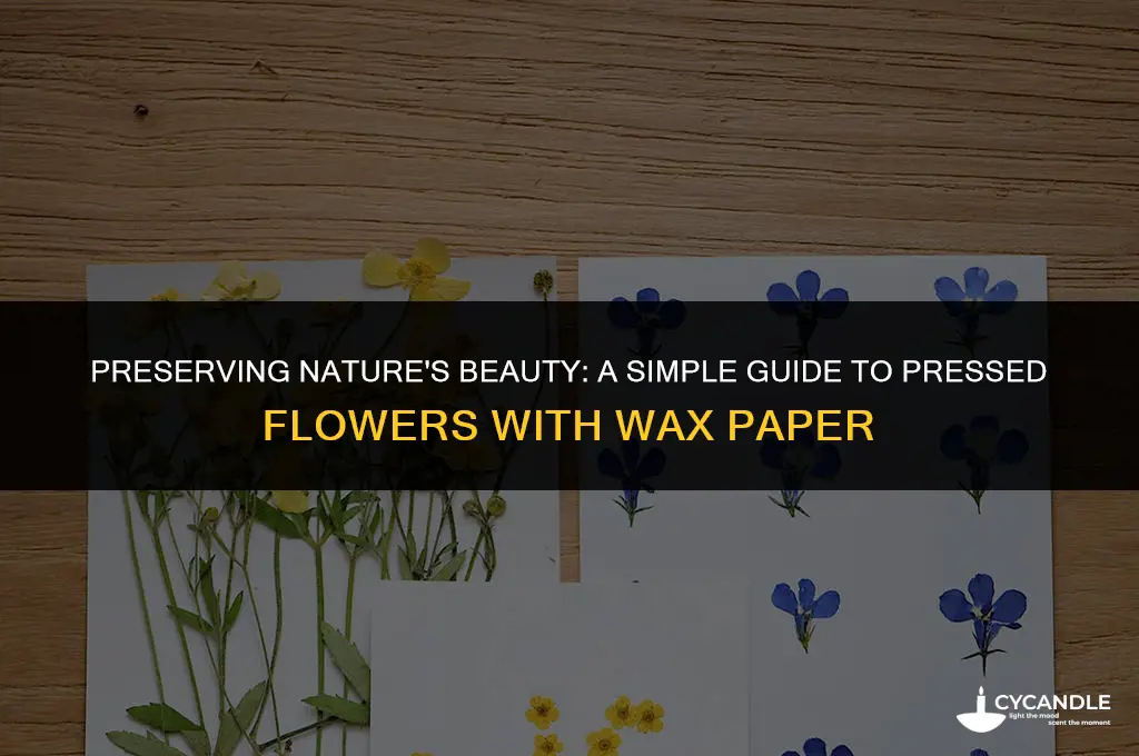 how to make pressed flowers with wax paper
