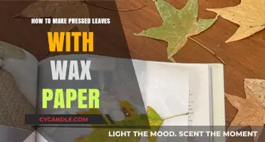 Preserve Nature's Beauty: A Simple Guide to Pressing Leaves with Wax Paper
