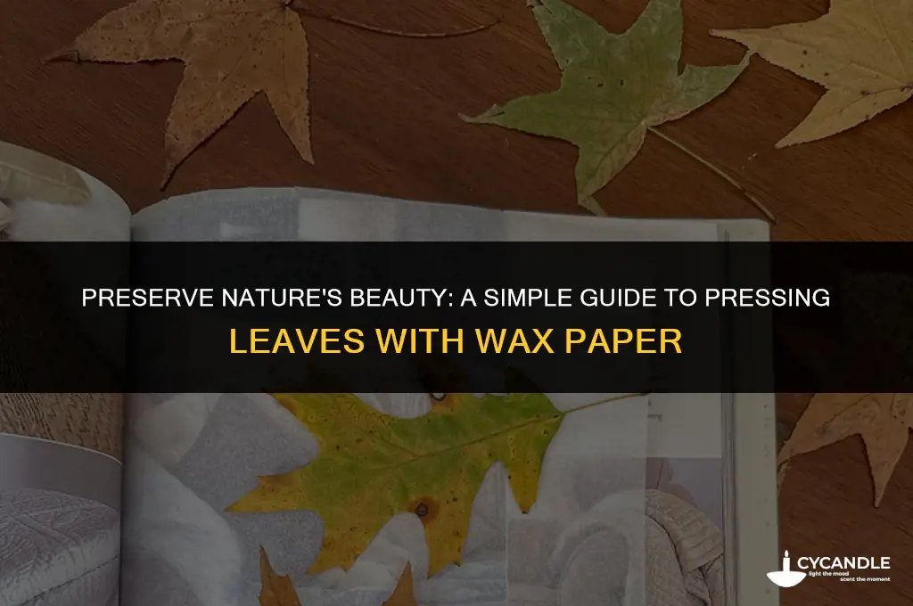 how to make pressed leaves with wax paper