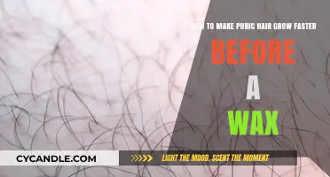 Accelerate Pubic Hair Growth: Tips for a Pre-Wax Routine
