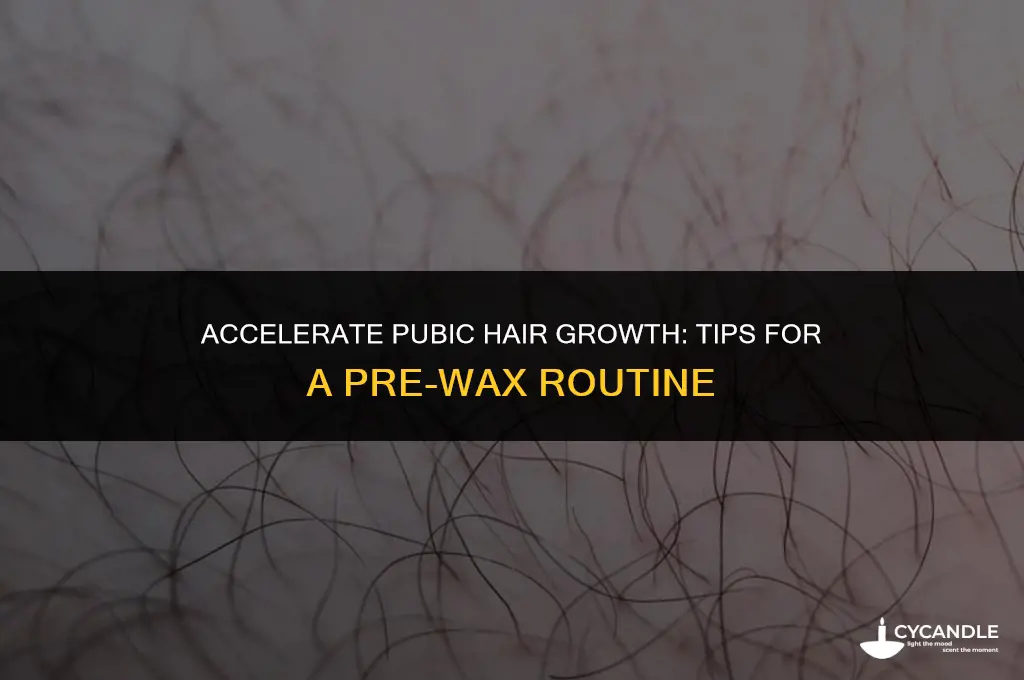 how to make pubic hair grow faster before a wax