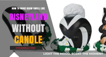 Magical Scents: Recreate Disneyland’s Aroma Without Candles at Home