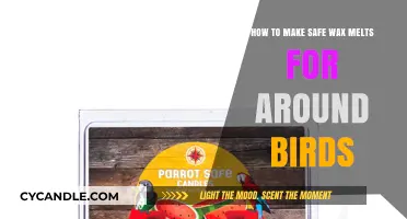 Crafting Bird-Safe Wax Melts: A Simple Guide