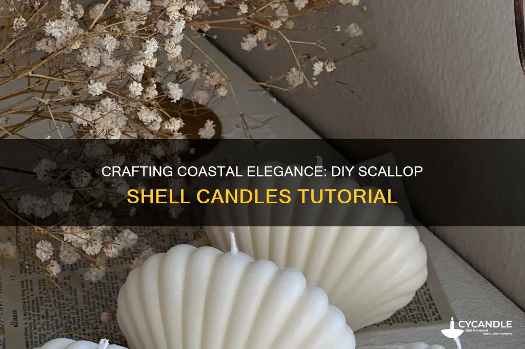 how to make scallop shell candles