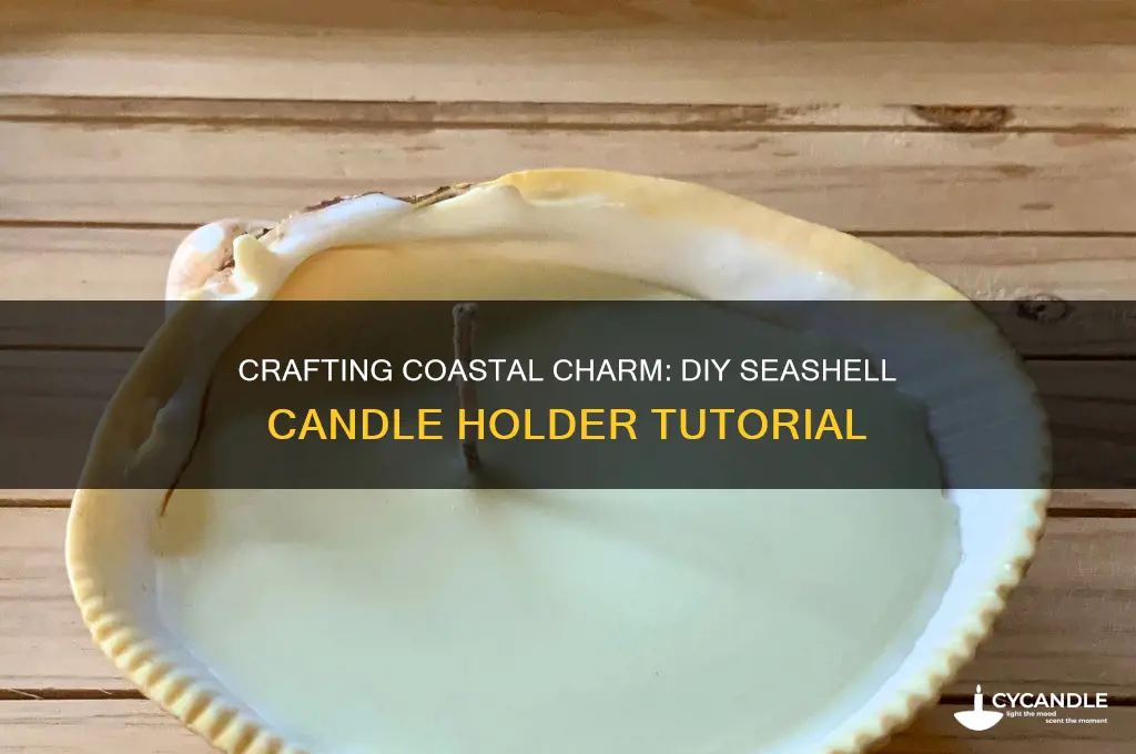 how to make seashell candle holders