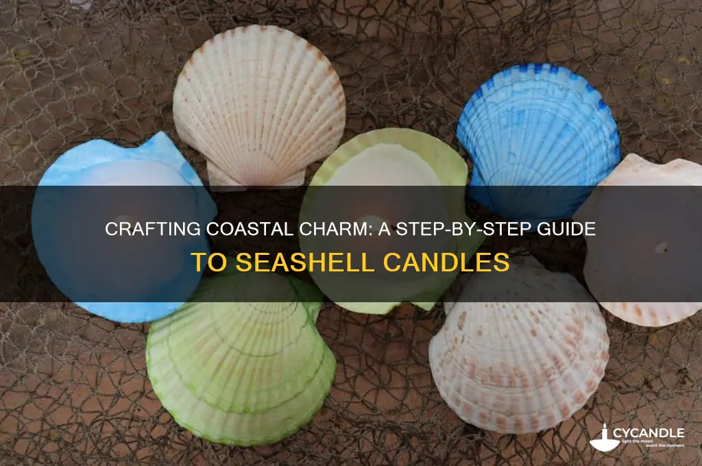 how to make seashell candles