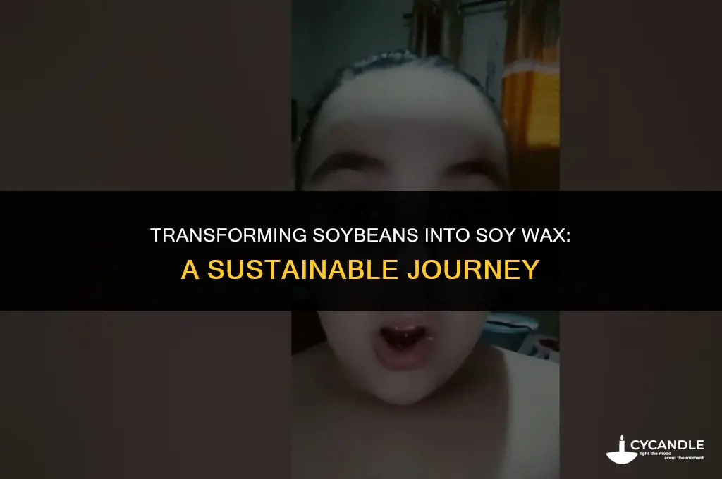 how to make so into soy wax