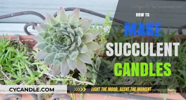 Crafting Succulent Candles: A Step-by-Step DIY Guide for Beginners