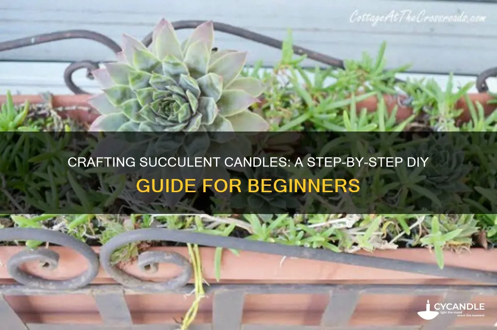 how to make succulent candles