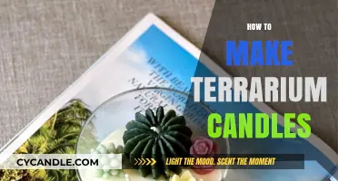 Crafting Terrarium Candles: A Step-by-Step DIY Guide for Beginners